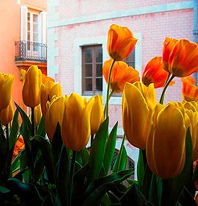 Boutique Hotel Davallada- Adults Only Sitges Buitenkant foto